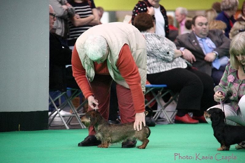 Crufts2011_2 823.jpg